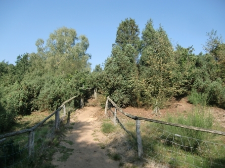 Schermbeck : Impressionen aus dem Naturschutzgebiet Loosenberge